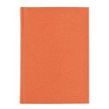 01449DELO17-Agenda-nedatata-DELHI-