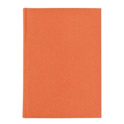 01449DELO17-Agenda-nedatata-DELHI-