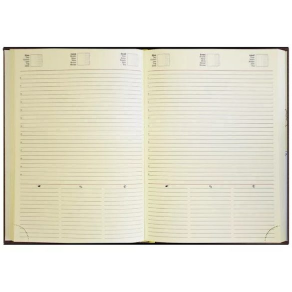 01449DELRU21-Agenda-nedatata-DELHI-Rubino