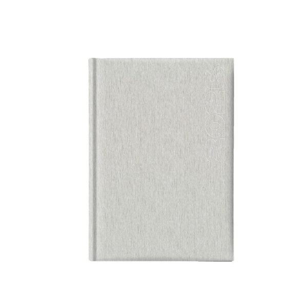 01460VEGAARG20-Agenda-datata-zilnic-Vega-15-x-21-cm-Argento