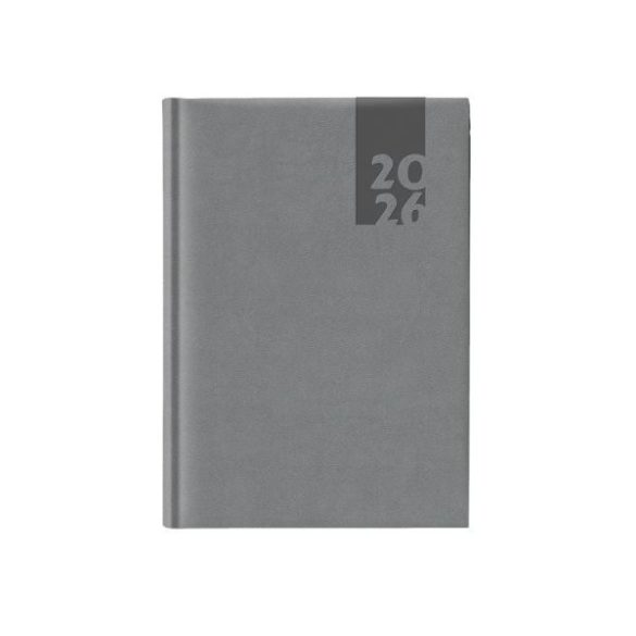 Agenda 2026 datata zilnic Tucson 15 x 21 cm - [Argento]