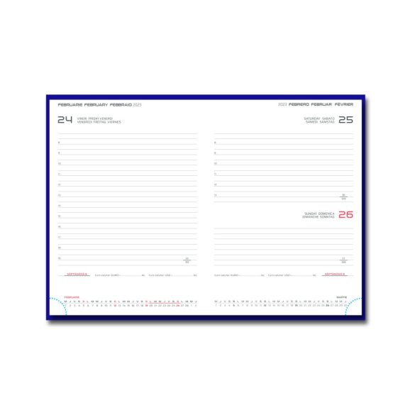 Agenda 2026 datata zilnic Tucson 15 x 21 cm - [Ghiaccio]