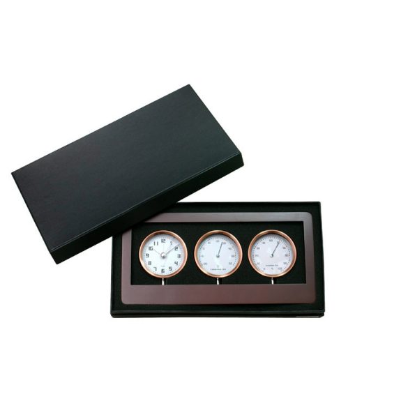 03016-Statie-meteo-METEOR