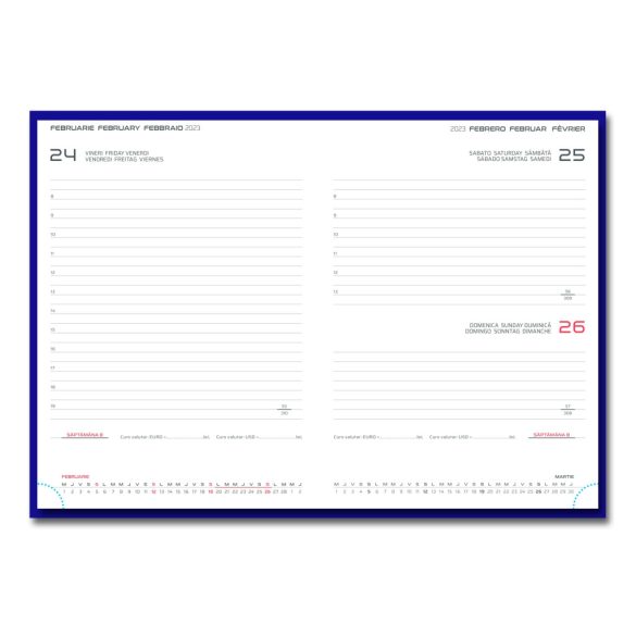Agenda 2026 datata zilnic Tucson 17 x 24 cm - [Albastru]