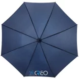 10905301-umbrela-automata