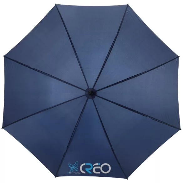 10905301-umbrela-automata