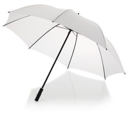 10905302-umbrela-automata