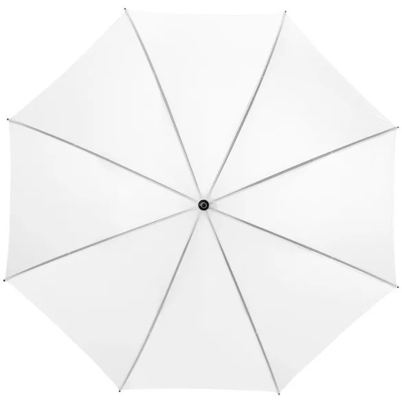 10905302-umbrela-automata