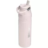 10088441-Sticla-cu-pai-Stanley