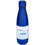 10089353-Sticla-Cove