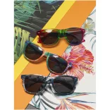 10100400-Ochelari-de-soare-Sun-Ray