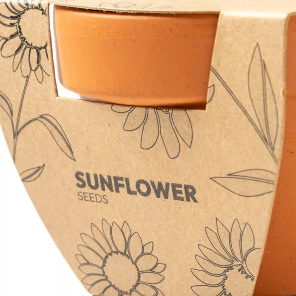 MC1036-Ghiveci-de-flori-din-teracota-cu-seminte-de-floarea-soarelui-GIRAX-NATURAL