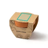 MC1036-Ghiveci-de-flori-din-teracota-cu-seminte-de-floarea-soarelui-GIRAX-NATURAL