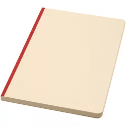 10612521-Notebook-Liliana
