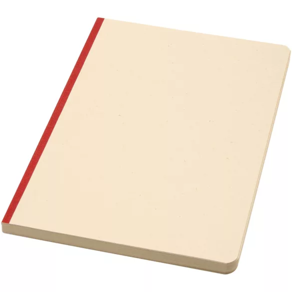 10612521-Notebook-Liliana