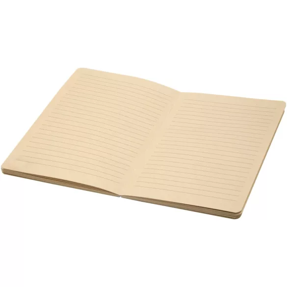 10612521-Notebook-Liliana