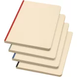 10612521-Notebook-Liliana