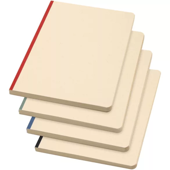 10612561-Notebook-Liliana