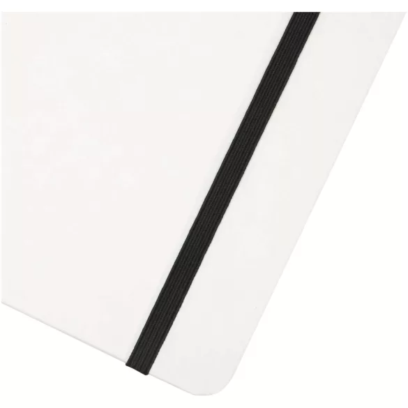 10736601-Notes-A5-Holm