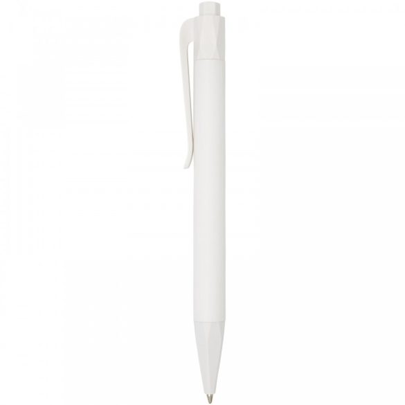 10774301-Pix-din-plastic-reciclat-din-porumb-Terra