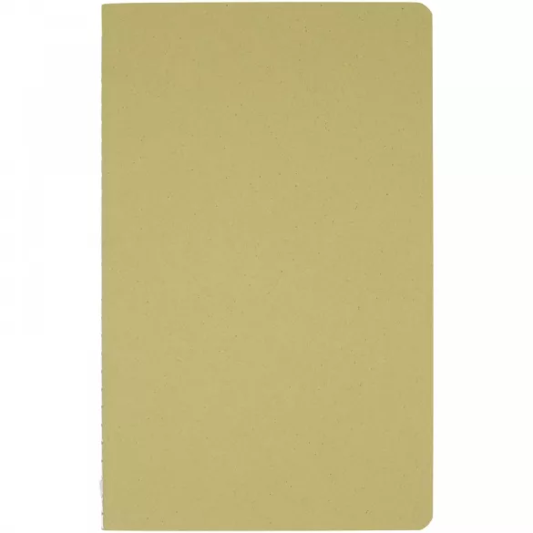 10774960-Notes-cu-invelis-de-hartie-reciclata-Fabia