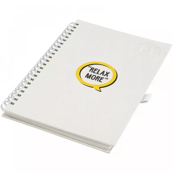10778302-Notes-cu-spira-A5-Dairy-Dream