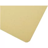 10781260-Caiet-Fabianna