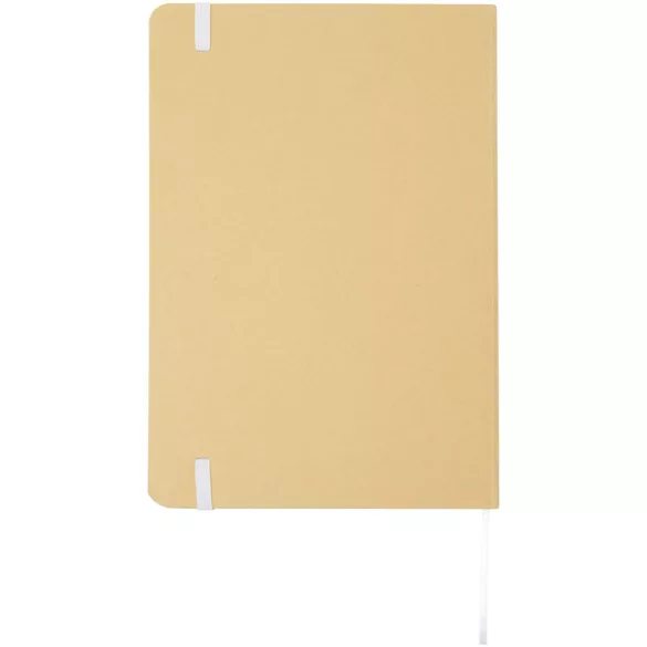 10790301-Notes-A5-Nelida