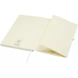 10796201-Notes-A5-Spectrum