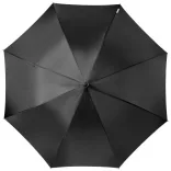 10907200-umbrela-arch