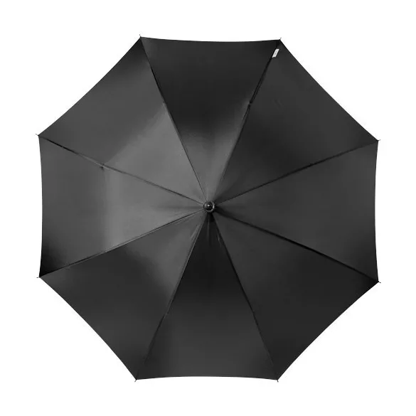 10907200-umbrela-arch