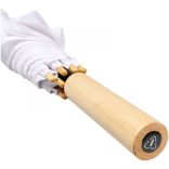 10940002-Umbrela-automata-Alina-23