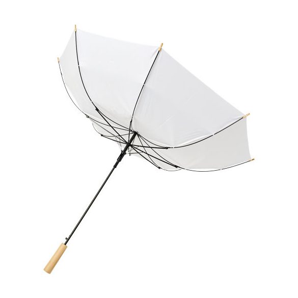 10940002-Umbrela-automata-Alina-23