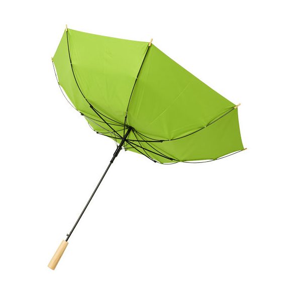 10940009-Umbrela-automata-Alina-23