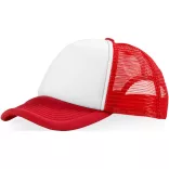 11106901-Sapca-Trucker