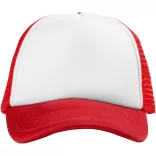 11106901-Sapca-Trucker