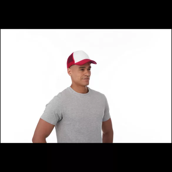 11106901-Sapca-Trucker