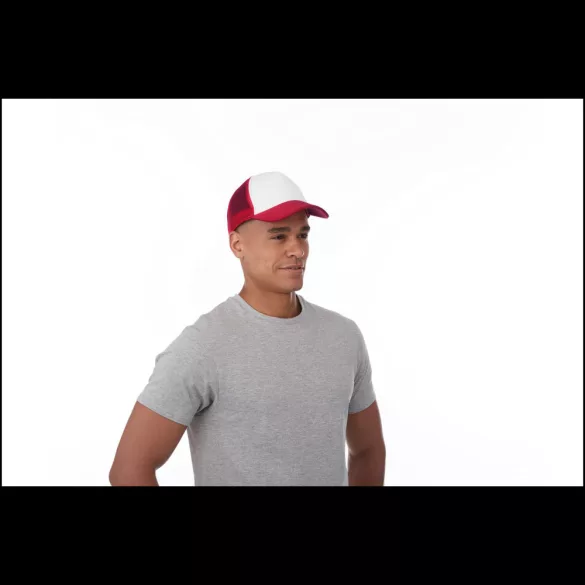11106901-Sapca-Trucker