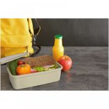 11327402-Container-pentru-pranz-din-plastic-reciclat-Dovi