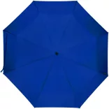 11350853-Umbrela-Dane