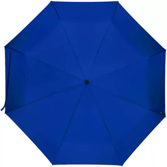 11350853-Umbrela-Dane