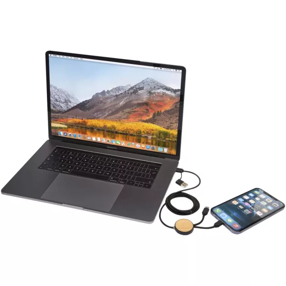 12442290-Cablu-5-in-1-Chechia