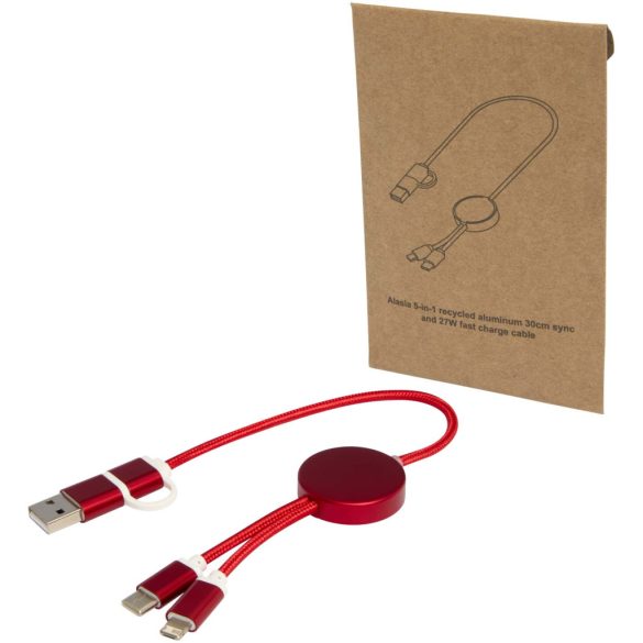 12442421-Cablu-5-in-1-Alasia