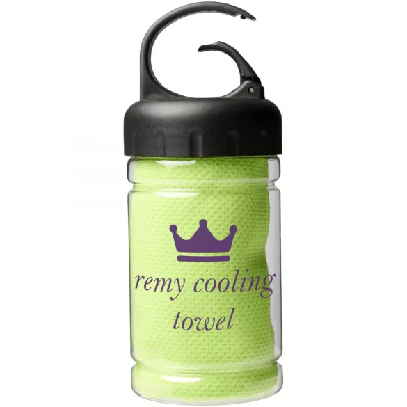 12617009-Prosop-rece-in-recipient-Remy