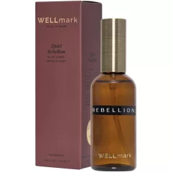 12640722-Spray-de-camera-Wellmark