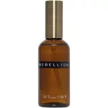 12640722-Spray-de-camera-Wellmark