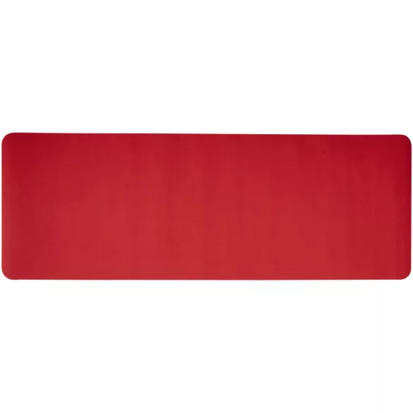 12703721-Covoras-yoga-Virabha