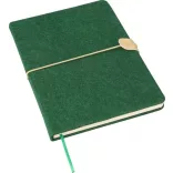 1417982-001-Notes-Danio-Fetru-reciclat-A5-Liniat