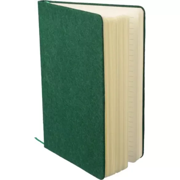 1417982-001-Notes-Danio-Fetru-reciclat-A5-Liniat