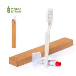 1641-000MK-Set-dentar-Dental-Kit